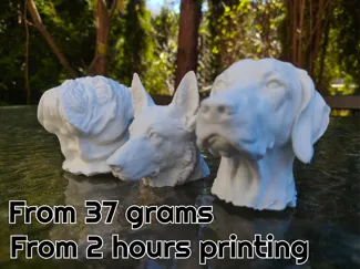 Dog head collections - Detailed dog head