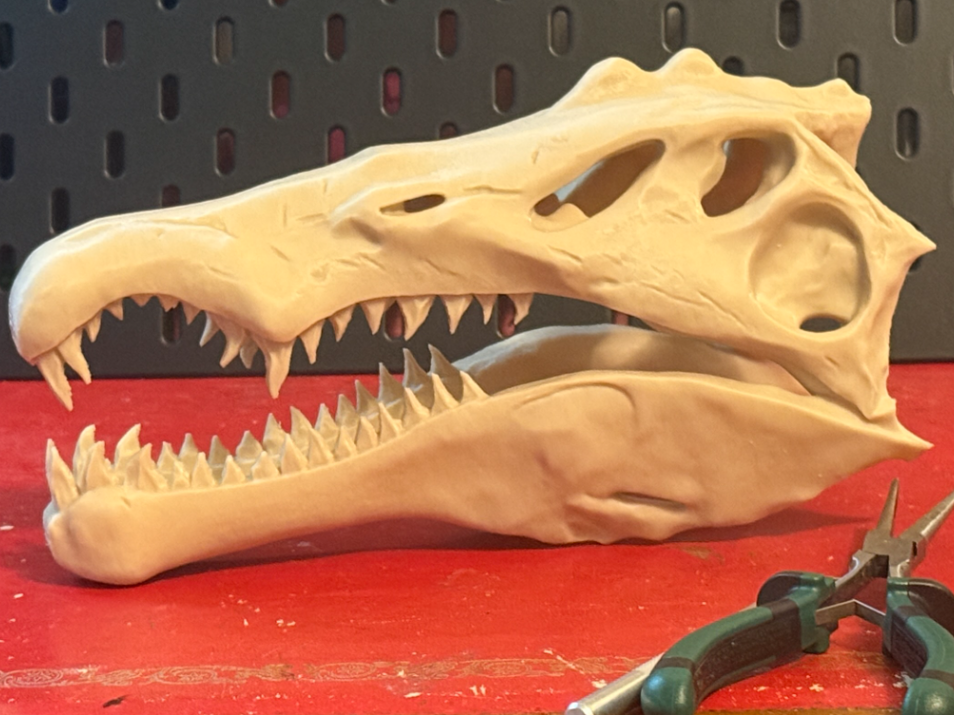 Spinosaurus Skull – 250mm Display Model