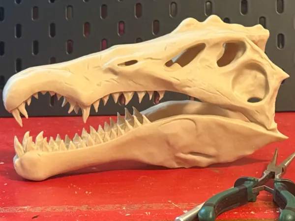 https://makerworld.bblmw.com/makerworld/model/US91362f92455108/design/eeedf5d572073b6c.jpg