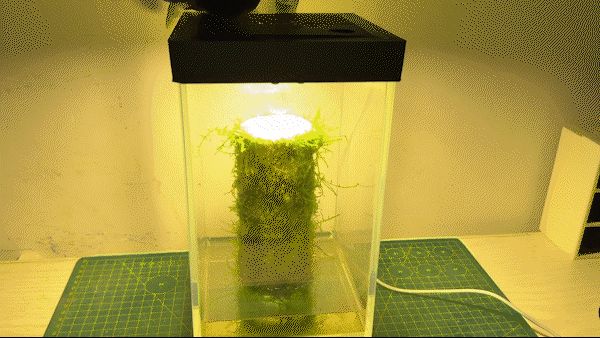 15cm鱼缸照明加湿盖，Fish tank humidifier cover