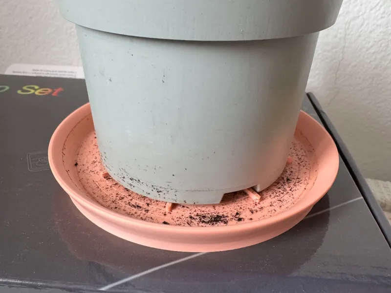 Smart plant dish