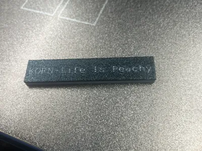 Korn-Life is Peachy-scannable Spotify keychain