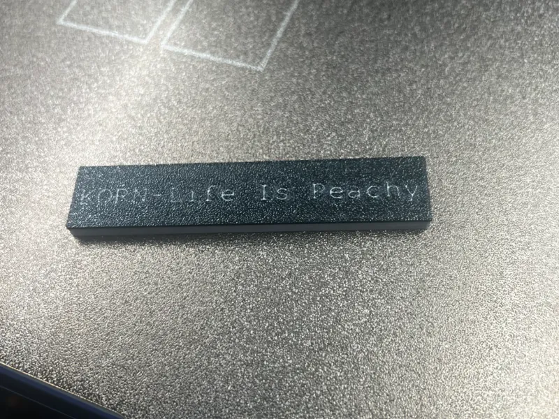 Korn-Life is Peachy-scannable Spotify keychain