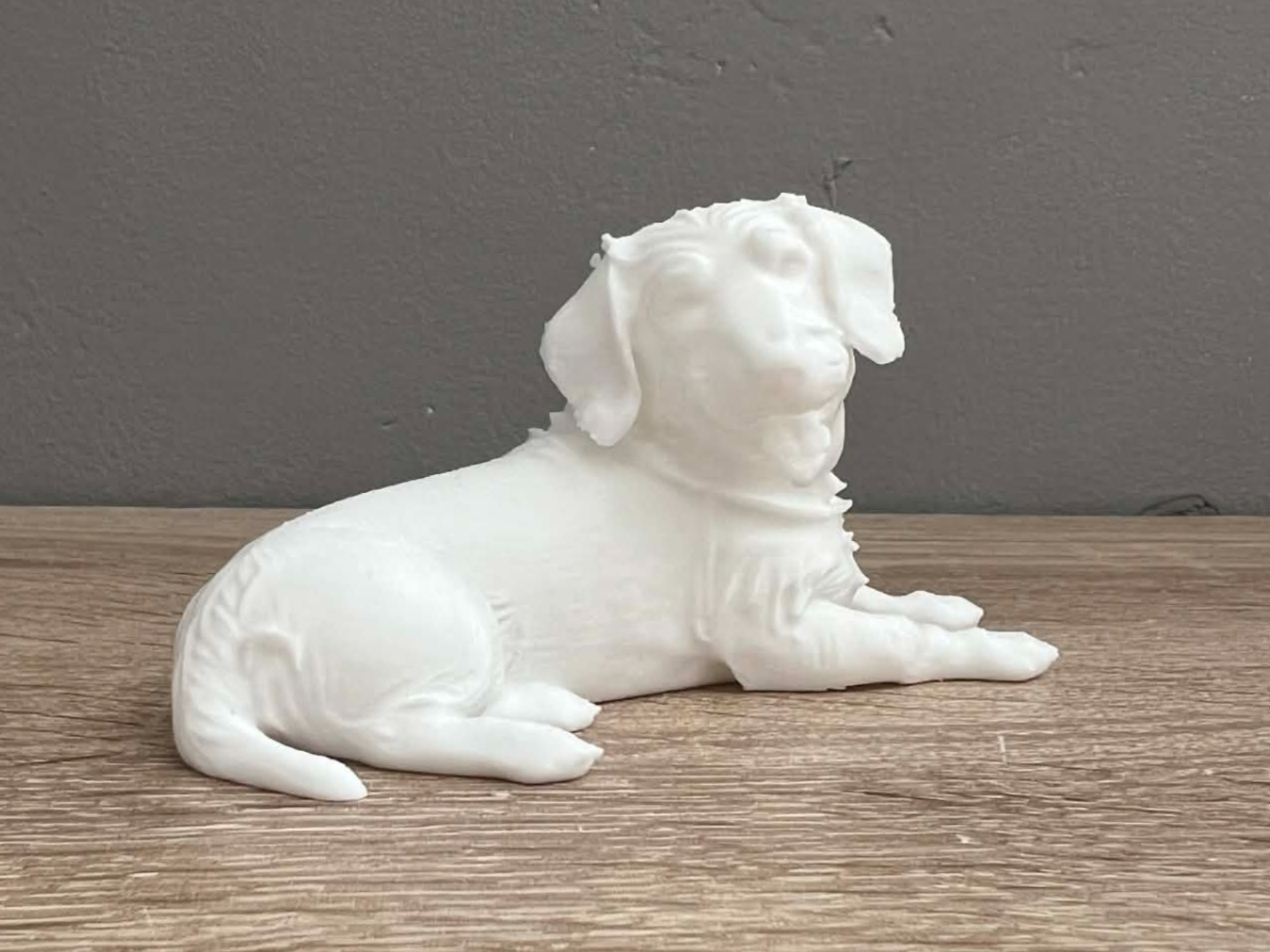 Wire-haired Dachshund - Animal - Decor