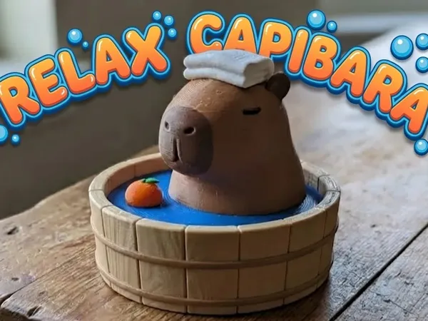 https://makerworld.bblmw.com/makerworld/model/US91452f1b6614dd/design/2025-12-02_28d91bf2bdba18.jpg