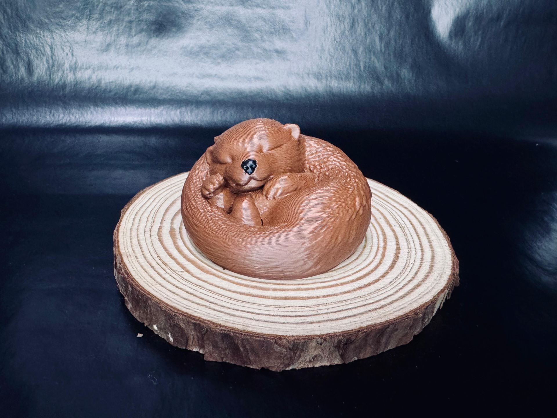 Curled Up Otter