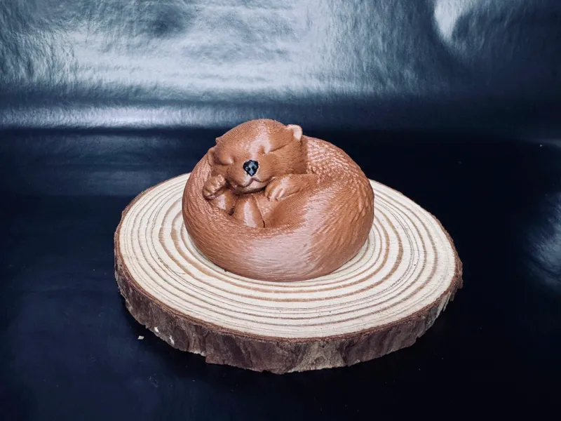 Curled Up Otter