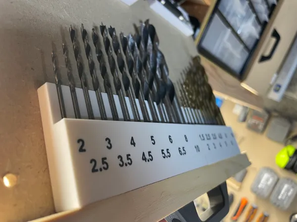 https://makerworld.bblmw.com/makerworld/model/US9148a197f827f8/design/2024-10-06_7f32d26f821198.jpg