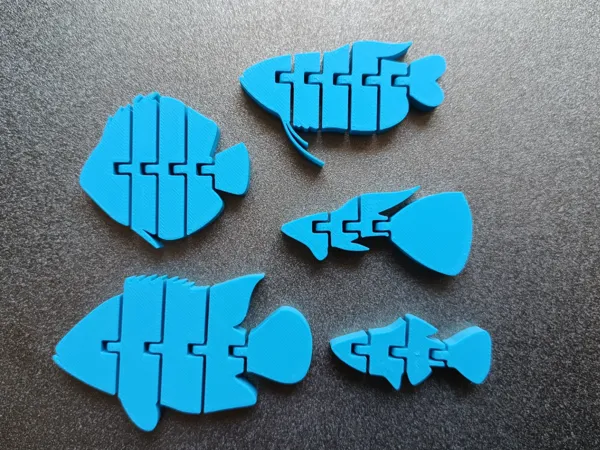 https://makerworld.bblmw.com/makerworld/model/US9148c2fa5b8fb7/design/2025-03-05_f873a0281064b.jpg