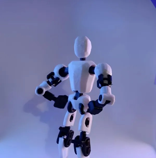 https://makerworld.bblmw.com/makerworld/model/US91493867cd3520/design/2024-02-23_0ce87881a64a6.png