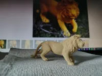 Lion à l'affût — photo 3