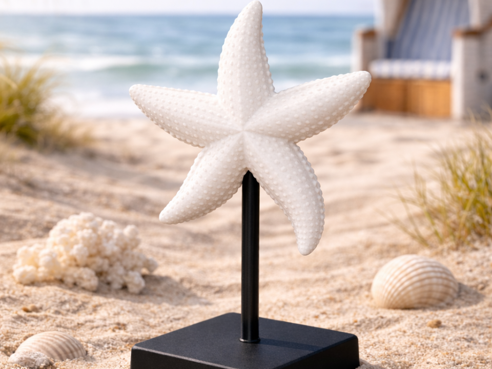 Maritimer Deko Seestern "NO AMS"