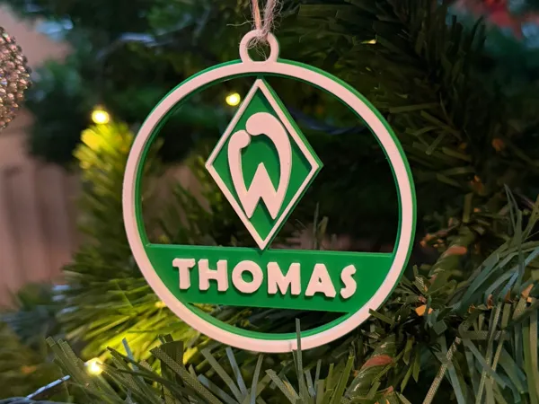 https://makerworld.bblmw.com/makerworld/model/US914ca5af0413db/design/2025-12-17_43b99bf2423ee.jpeg