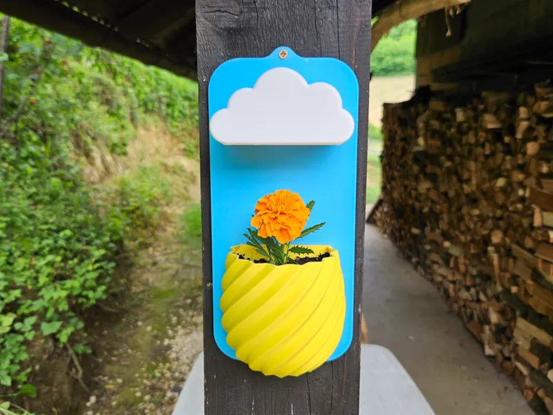 Rainy cloud flower pot