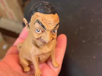 Mr.Bean Pug