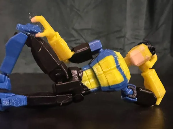 https://makerworld.bblmw.com/makerworld/model/US915262bec455b9/design/f2c03de370f63f1b.jpeg