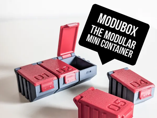 https://makerworld.bblmw.com/makerworld/model/US9153fe9dee766a/design/2025-02-12_037f0615a5025.png