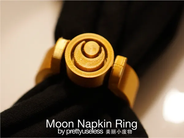 https://makerworld.bblmw.com/makerworld/model/US91544b1523d217/design/2024-12-22_5123748fe321f.jpg