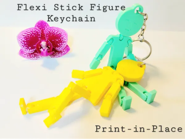 https://makerworld.bblmw.com/makerworld/model/US91576ca983d81b/design/2024-07-04_2bf040bcb85f9.jpg