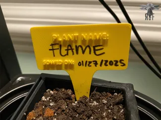 Plant Labels