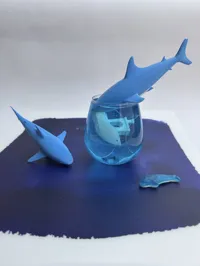 4 shark with AMS options