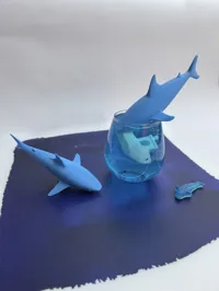 AMS shark