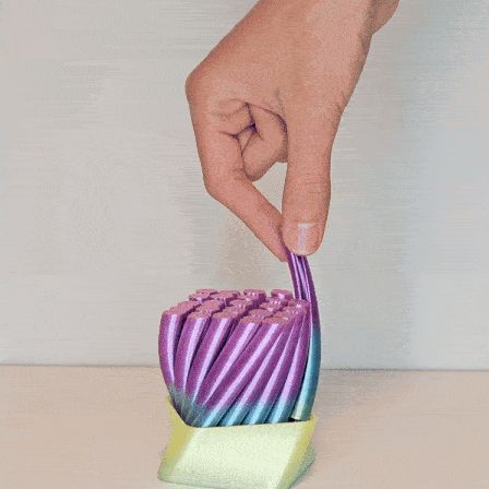 https://makerworld.bblmw.com/makerworld/model/US916a7c3f7f6e32/design/2025-11-27_04e84475a94448.gif
