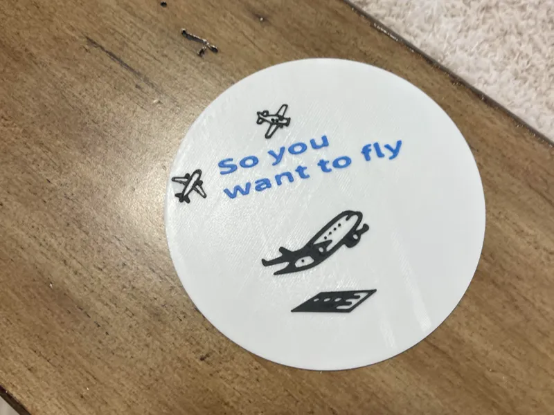 so you want to fly 