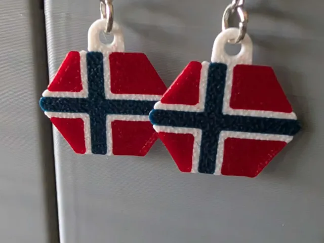 Norwegian flag earrings