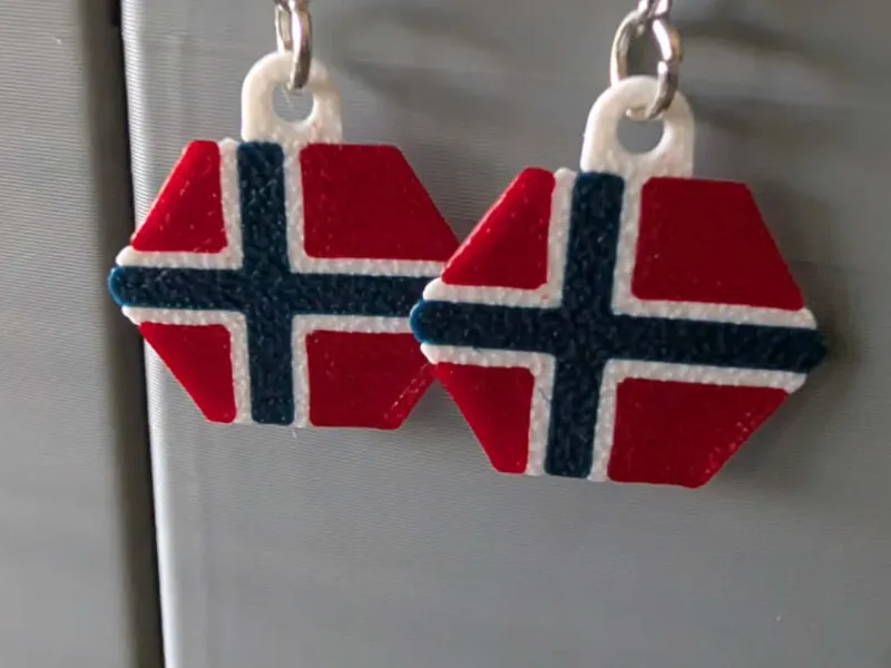 Norwegian flag earrings