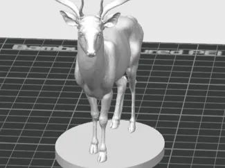 Deer