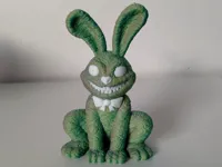 Multicolor 0.2mm layer, 2 walls, 10% infill