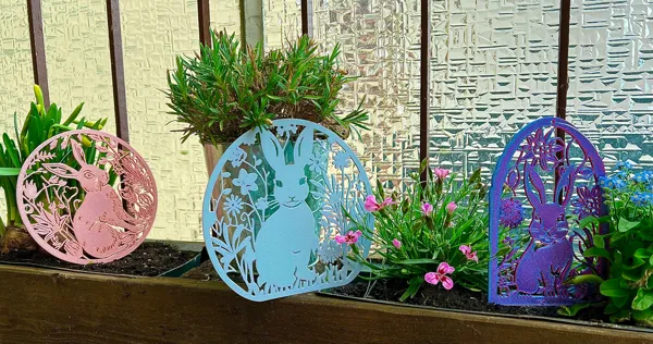 https://makerworld.bblmw.com/makerworld/model/US91865213545838/design/2024-03-17_4cb0d2bcc00b78.jpeg