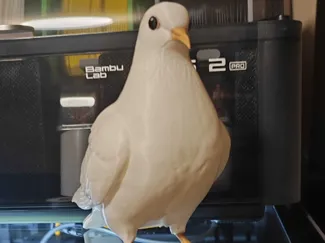 White Dove – Symbol of Peace 