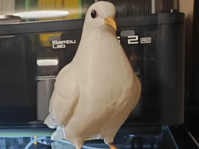 White Dove – Symbol of Peace 