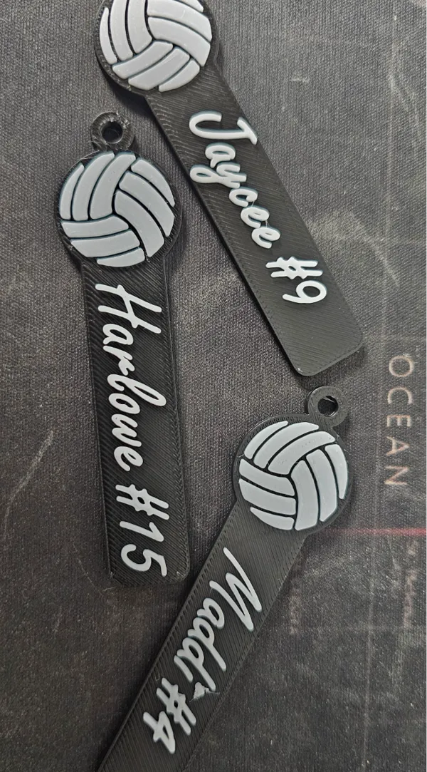 https://makerworld.bblmw.com/makerworld/model/US91904c4359eda4/design/2024-12-12_cc99d63fb00ac.jpg