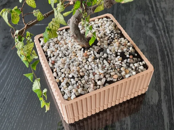 https://makerworld.bblmw.com/makerworld/model/US9192a8aee1f9ac/design/2025-12-14_ad464862252ed8.jpg