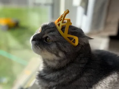 Dog crown - make your pet happy