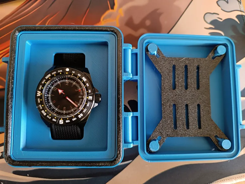 Container de protection pour montre
