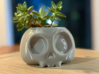 Gothic Skull Succulent Planter
