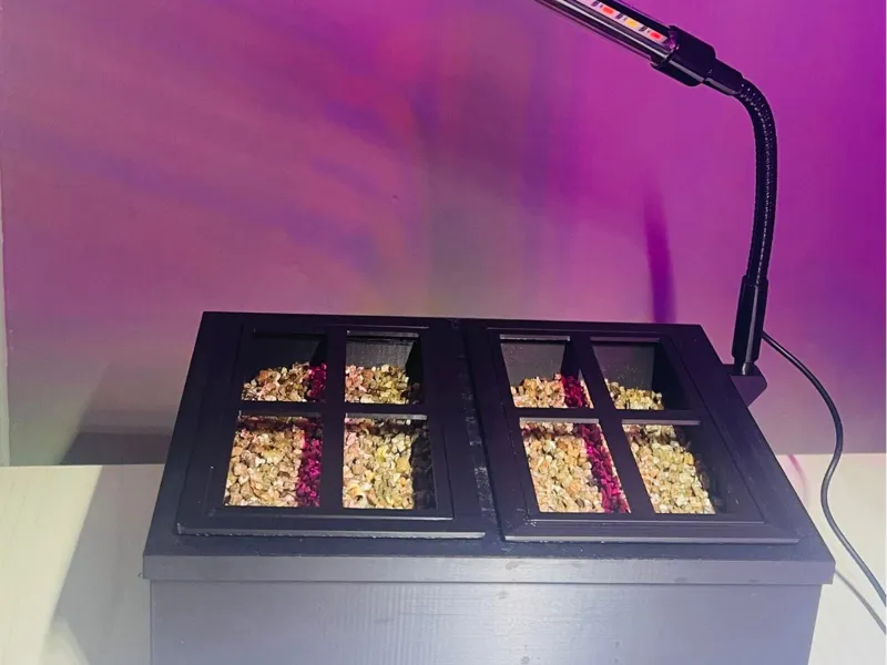Greenhouse hydroponic with vermiculite