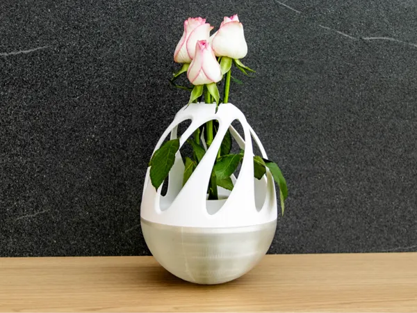 https://makerworld.bblmw.com/makerworld/model/US91a1f76573e430/design/2025-04-05_62a789494fde1.jpg