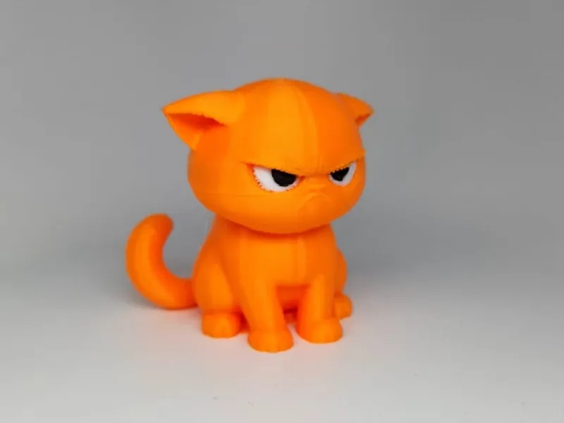 cute and angry cat