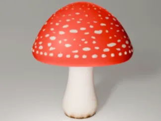 Cool mushroom