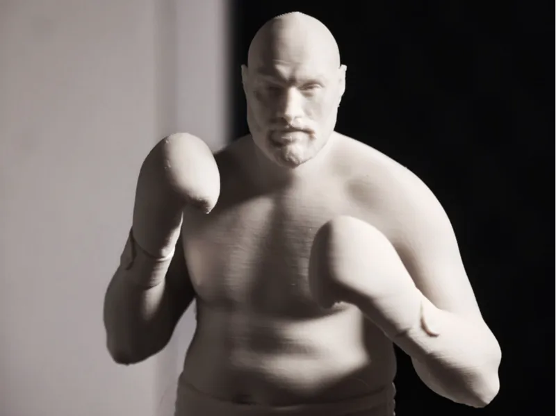 Tyson Fury the Gipsy King