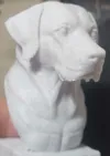 0.08mm layer, 2 walls, 5% infill