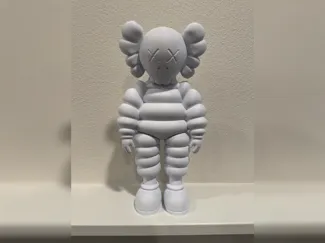 Kaws What Party