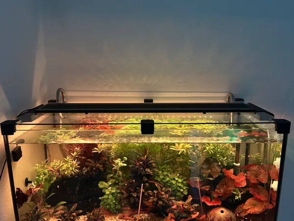 https://makerworld.bblmw.com/makerworld/model/US91c19eb70e84ab/design/2025-09-30_e8c5eb7f517bc8.jpeg