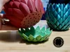 1 dragon scale planter