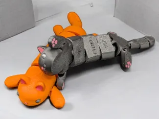 gray cat flexi color